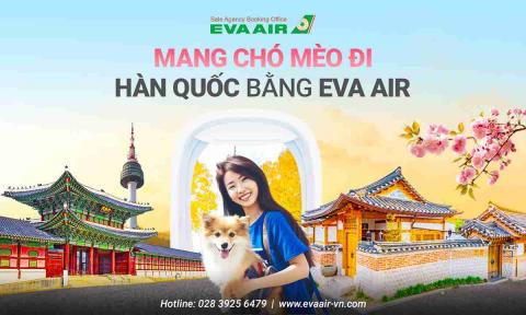 Mang chó mèo đi Hàn Quốc bằng EVA Air: Quy định và lưu ý mới